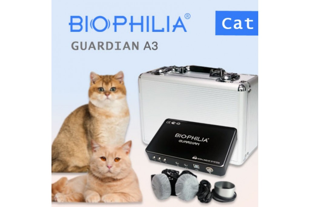 NLS Resonance Testing and META-Therapy: An Energy Medicine Solution for Feline Health​