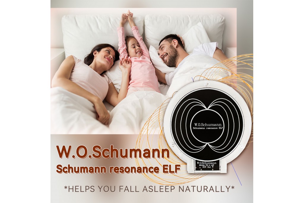 The Earth's Brain Wave: Schumann Wave